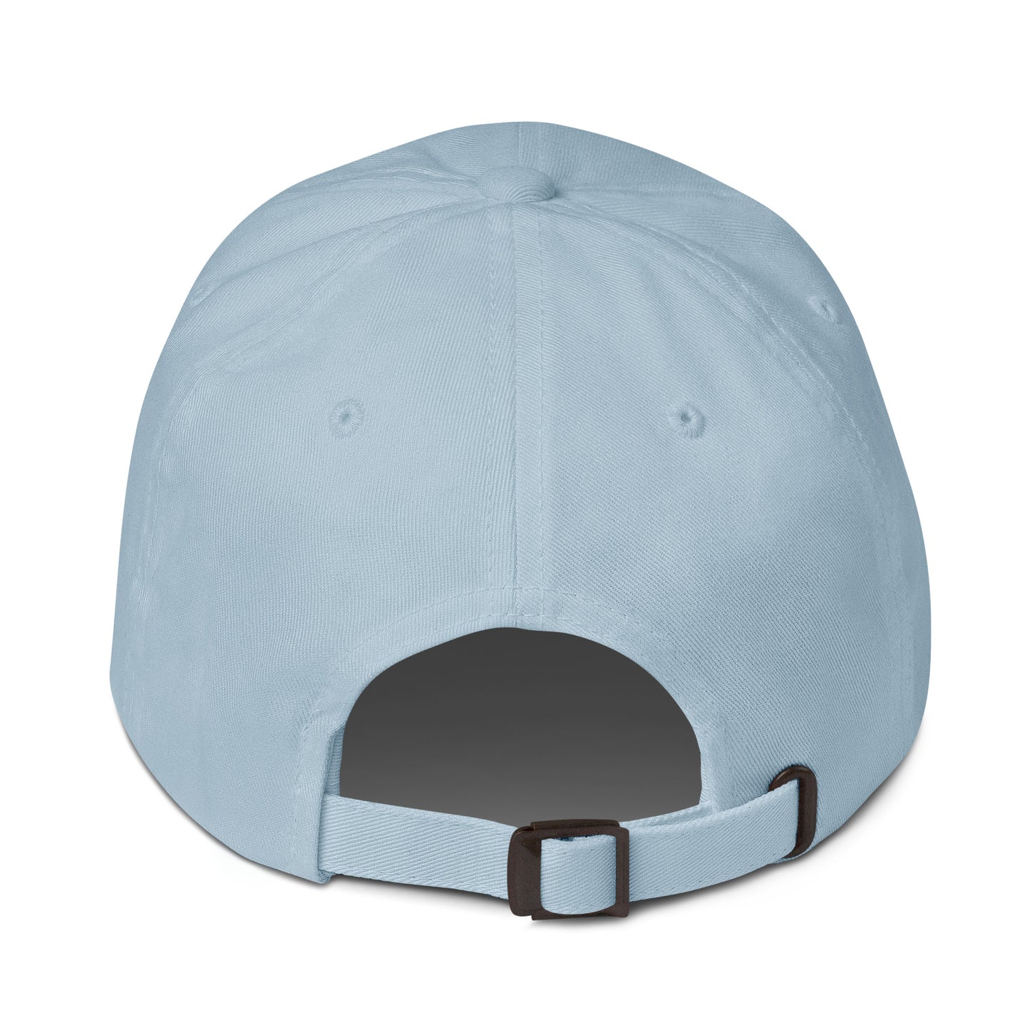 brlx Ocean Project Dad hat