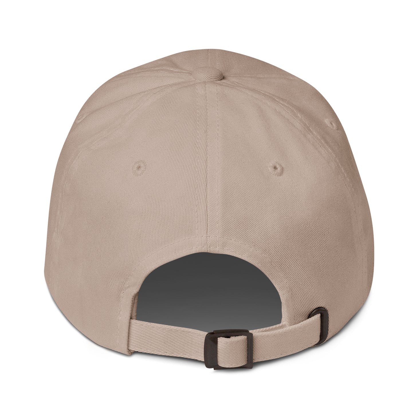 brlx Ocean Project Dad hat
