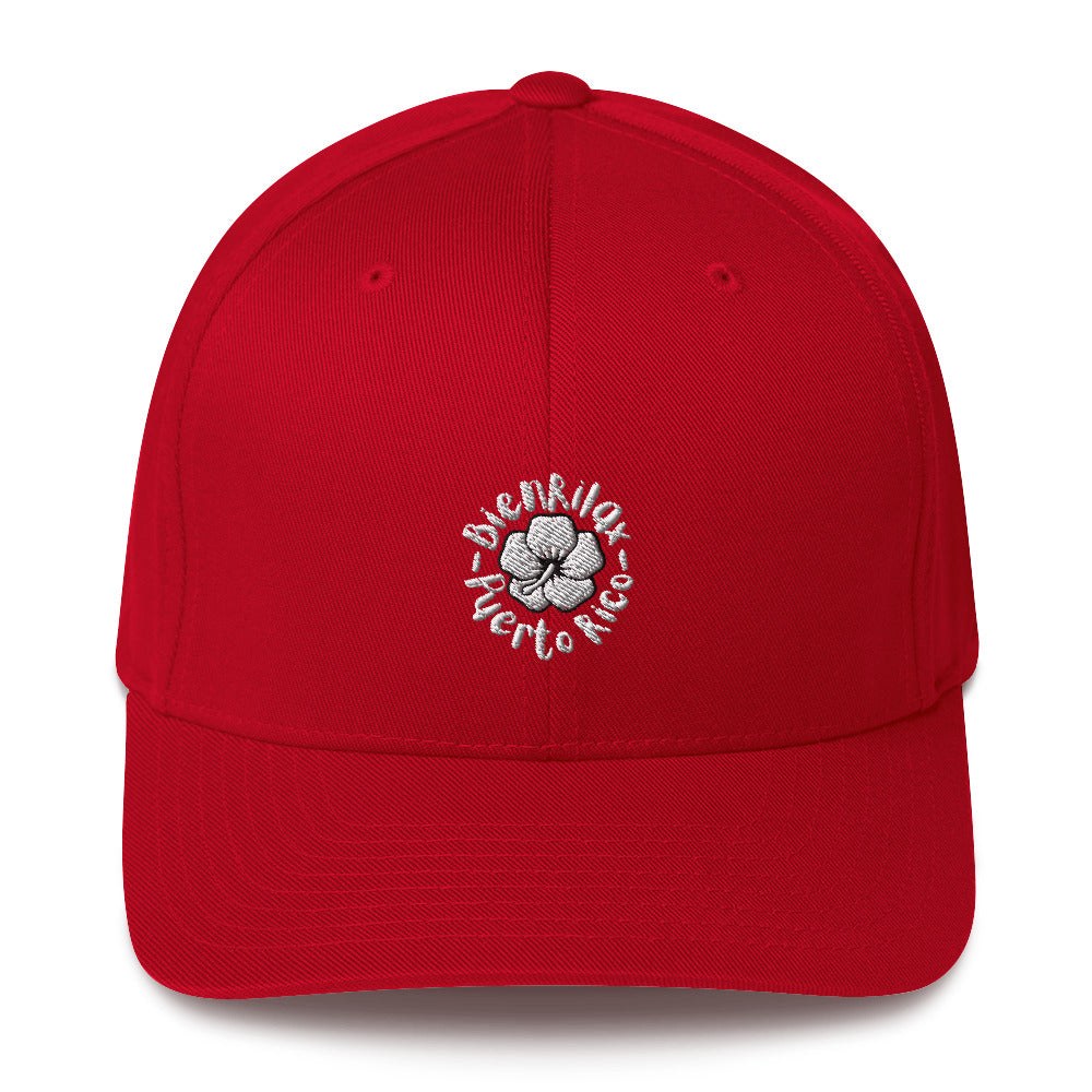 BienRilax x PR Fitted Hat