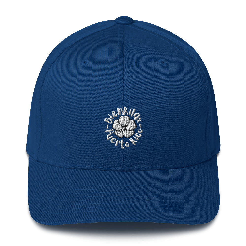 BienRilax x PR Fitted Hat