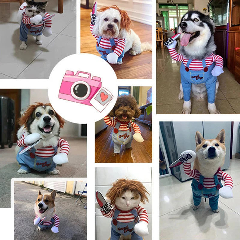 Halloween Costumes for Pets